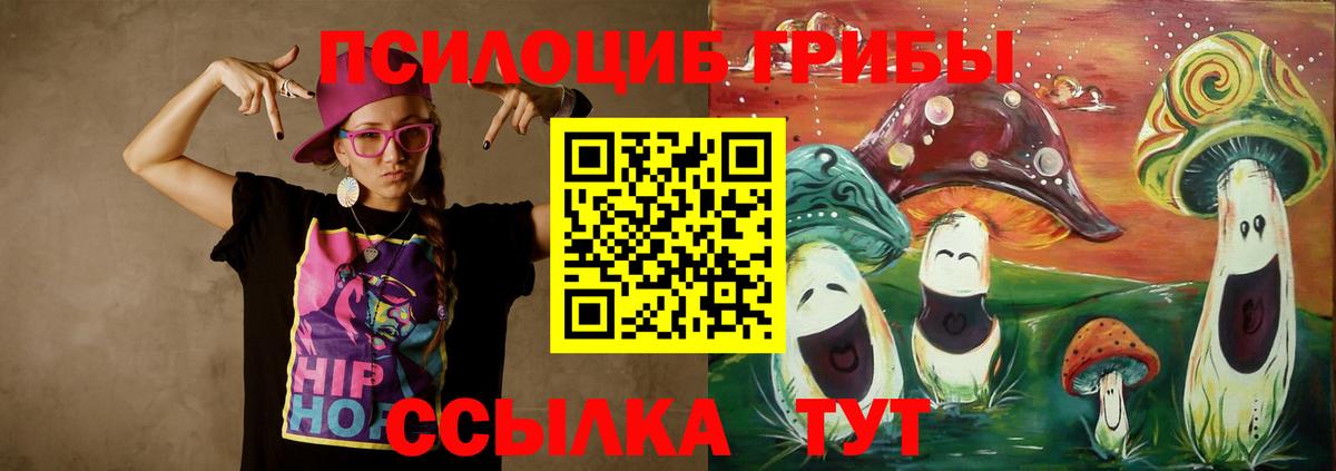 Галлюциногенные грибы мицелий  Вход с VPN  Псилоцибиновые грибы мицелий  Новоалтайск 